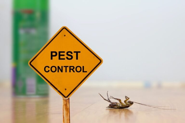 The Ultimate Guide to Pest Control: Keep Your Home Safe and Healthy